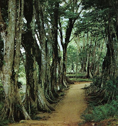Parc national du Morne Seychellois