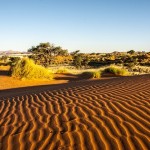 Namibie - désert
