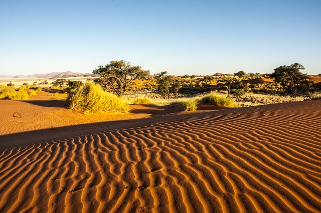 Namibie - désert
